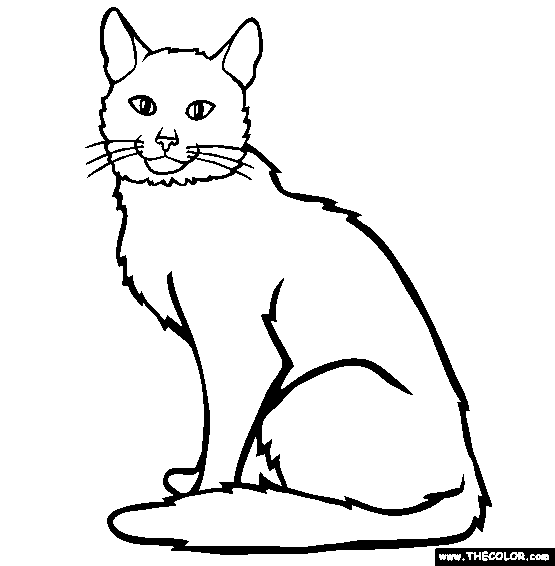 Cat coloring #5, Download drawings