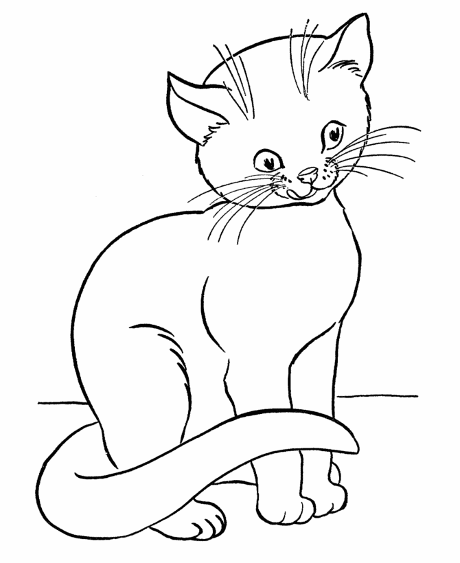 Cat coloring #15, Download drawings