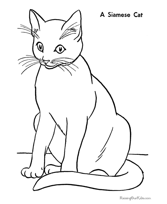 Siamese Cat coloring #1, Download drawings