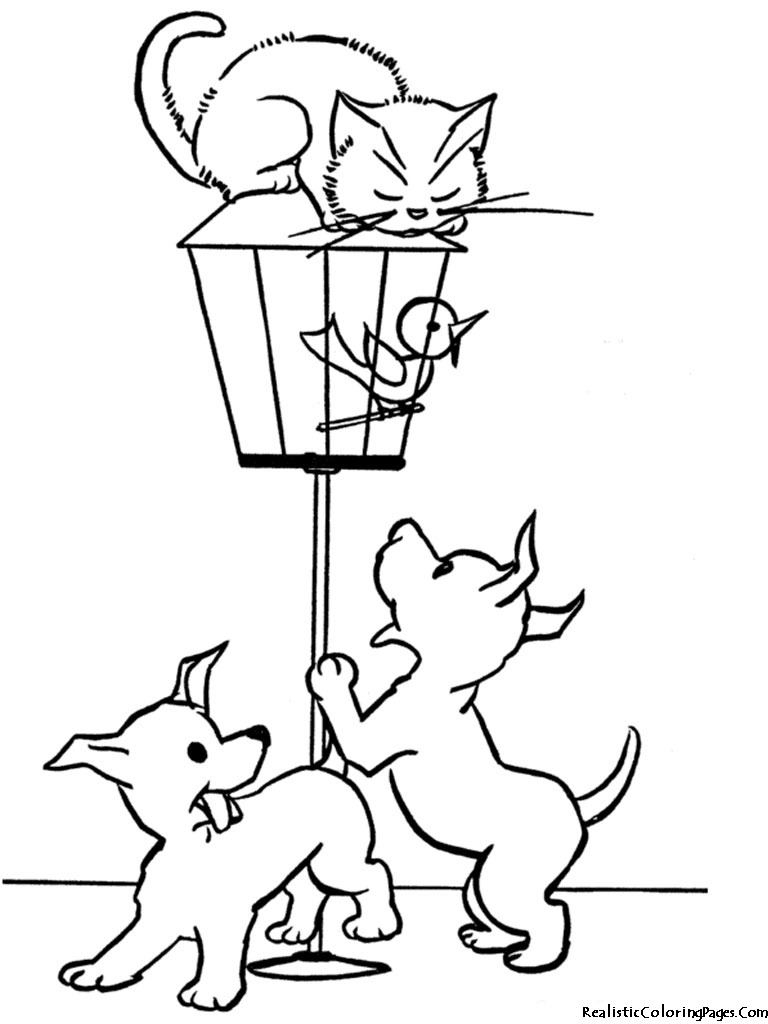 Cat & Dog coloring #2, Download drawings