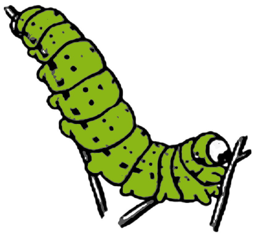 Caterpillar clipart #12, Download drawings