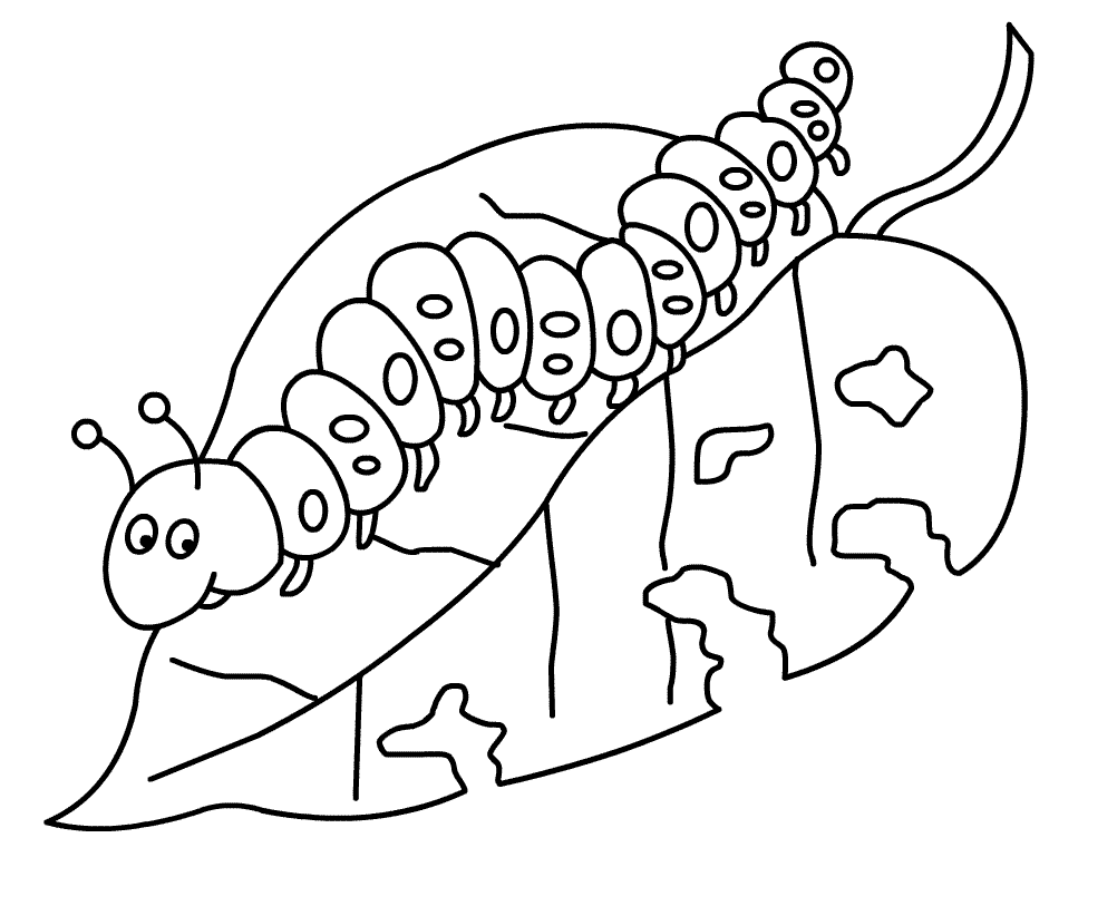 Caterpillar coloring #8, Download drawings