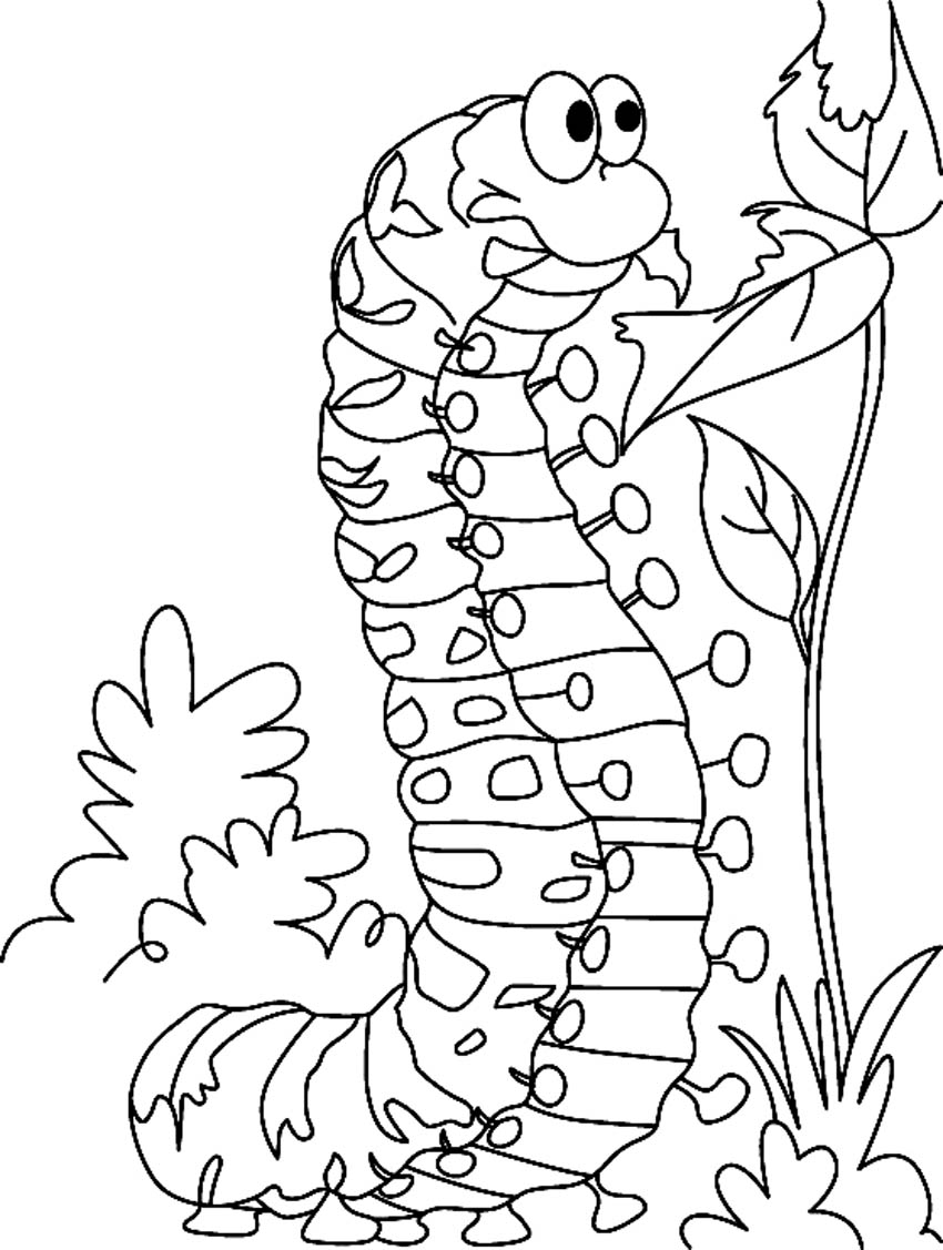 Caterpillar coloring #1, Download drawings