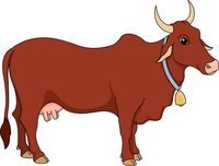 Cattle clipart #15, Download drawings