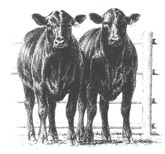Cattle clipart #2, Download drawings