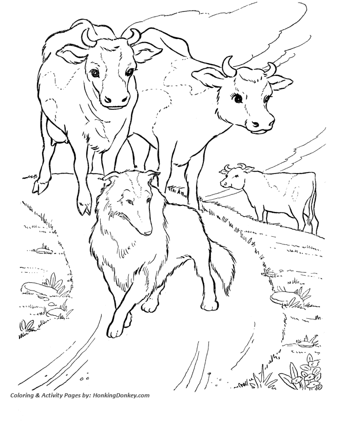 Cattle coloring #13, Download drawings