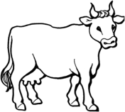 Cattle coloring #10, Download drawings