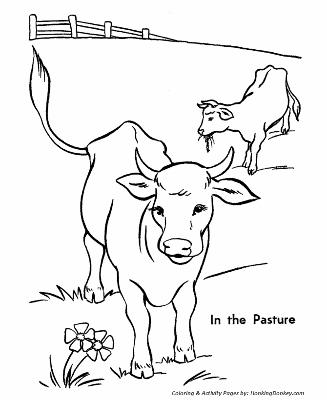 Cattle coloring #9, Download drawings