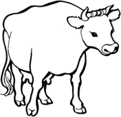 Cattle coloring #7, Download drawings