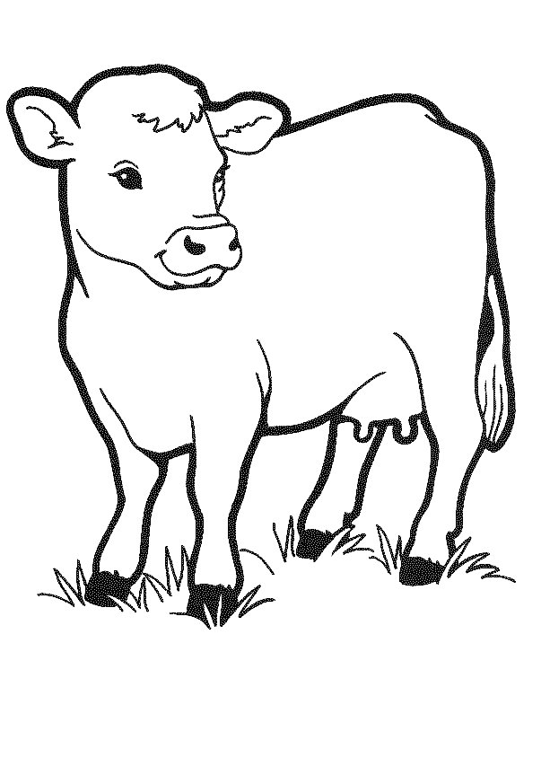 Cow coloring #16, Download drawings