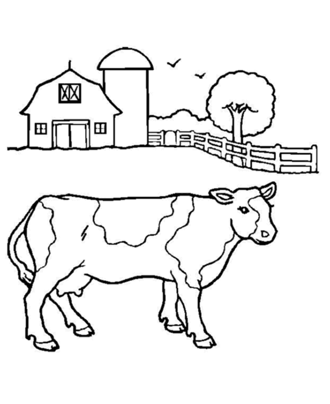 Cow coloring #17, Download drawings