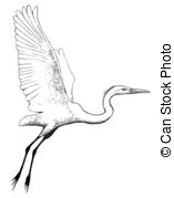 Great Egrets clipart #19, Download drawings