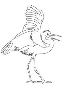 Cattle Egret coloring #8, Download drawings