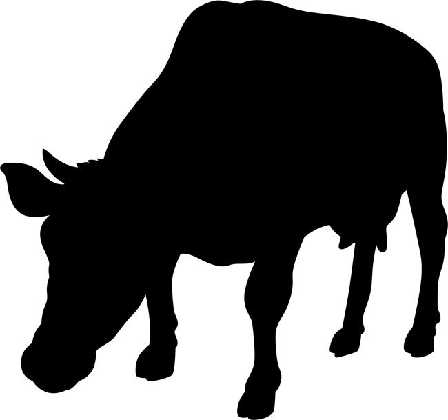 Cattle svg #2, Download drawings