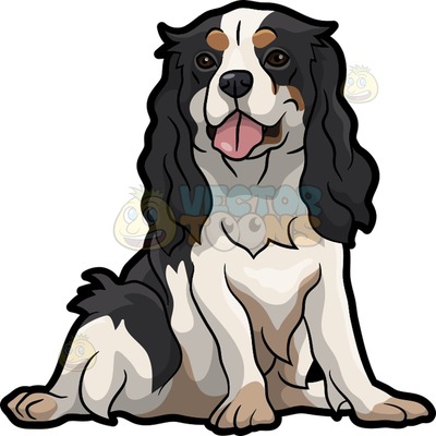 Cavalier King Charles clipart #6, Download drawings