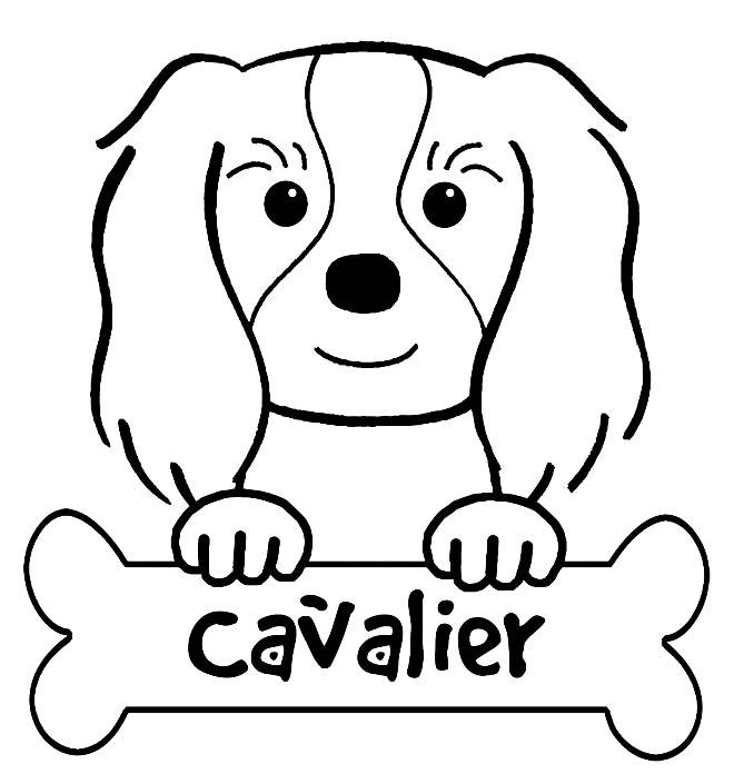 Cavalier King Charles coloring #16, Download drawings