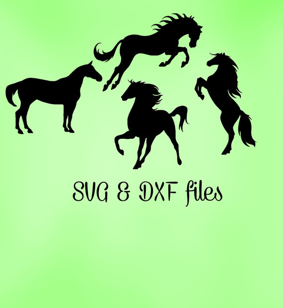 Cavallo svg #3, Download drawings