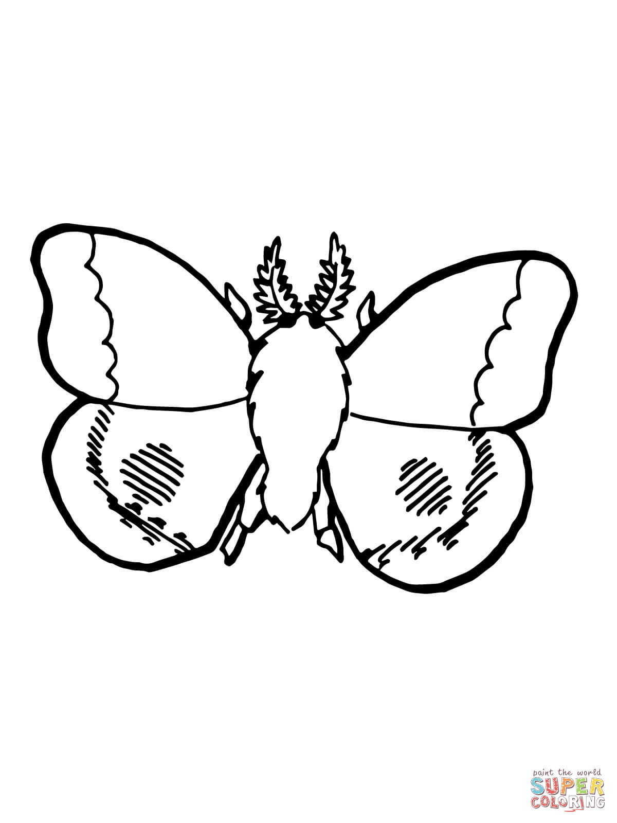 Moth coloring #6, Download drawings