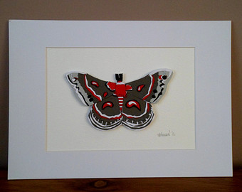 Cecropia Moth svg #14, Download drawings