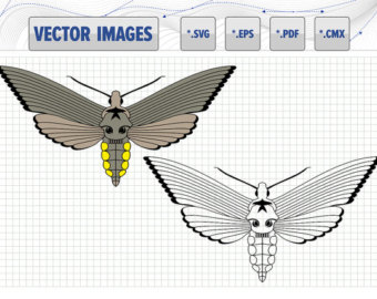 Cecropia Moth svg #4, Download drawings