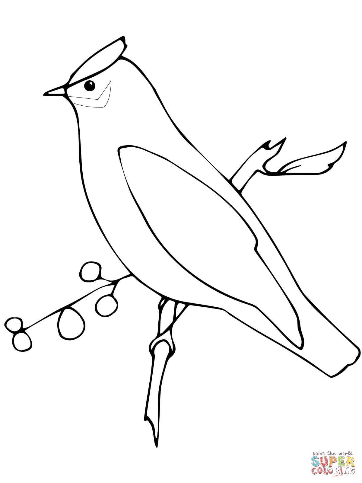 Waxwing coloring #14, Download drawings