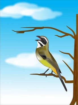 Waxwing svg #12, Download drawings