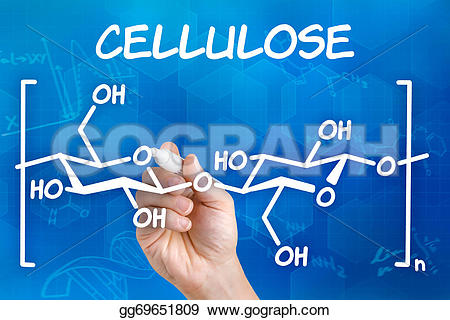 Cellulose clipart #10, Download drawings