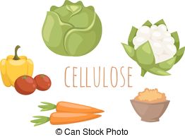 Cellulose clipart #14, Download drawings