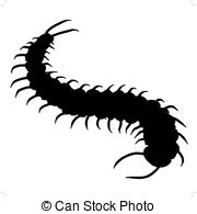 Centipede clipart #3, Download drawings
