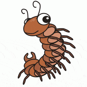 Centipede clipart #8, Download drawings