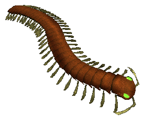 Centipede clipart #12, Download drawings