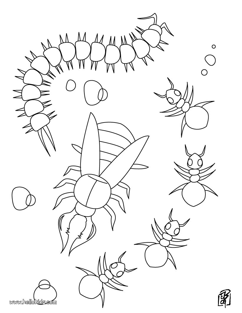 Centipede coloring #16, Download drawings