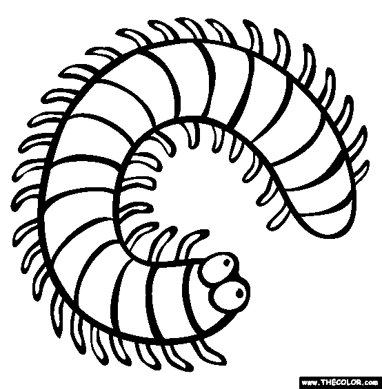 Centipede coloring #2, Download drawings