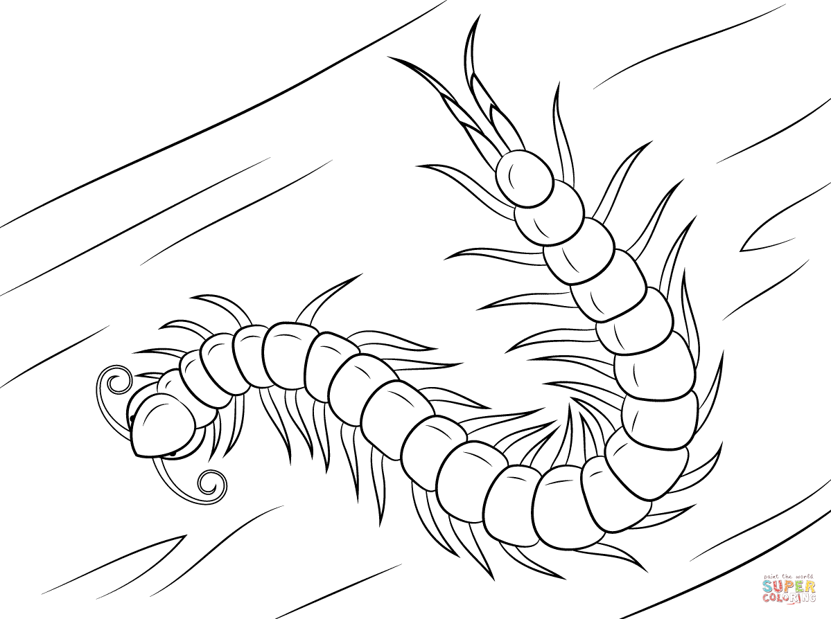 Centipede coloring #8, Download drawings
