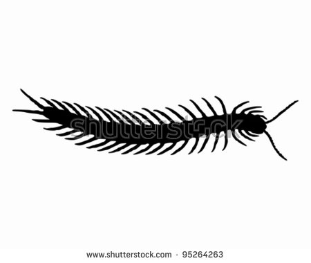Centipede svg #17, Download drawings