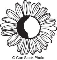 Chamomile clipart #5, Download drawings