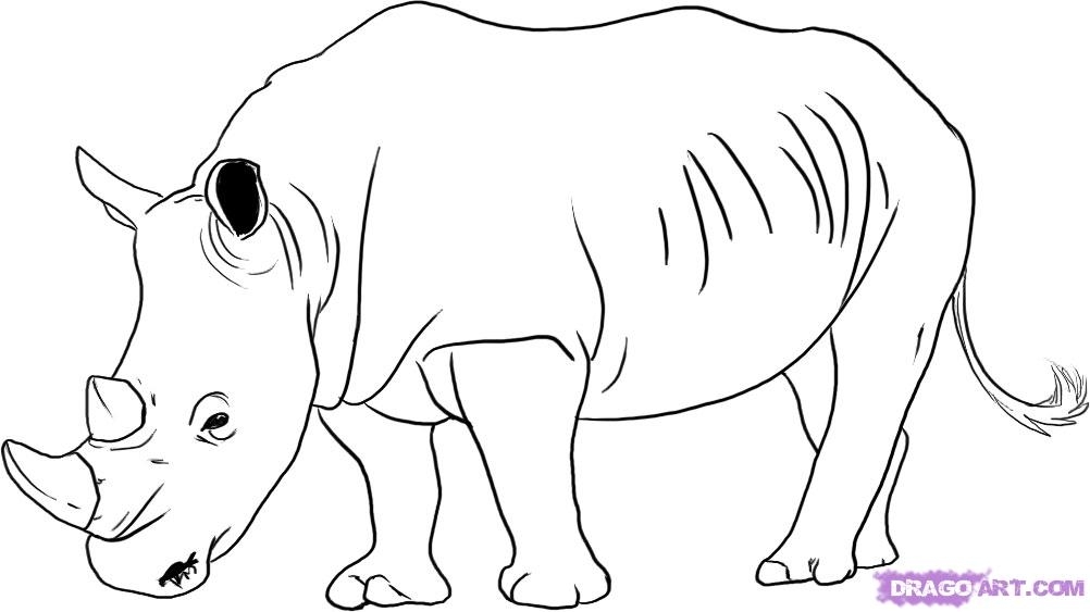 Charging Rhino coloring #9, Download drawings
