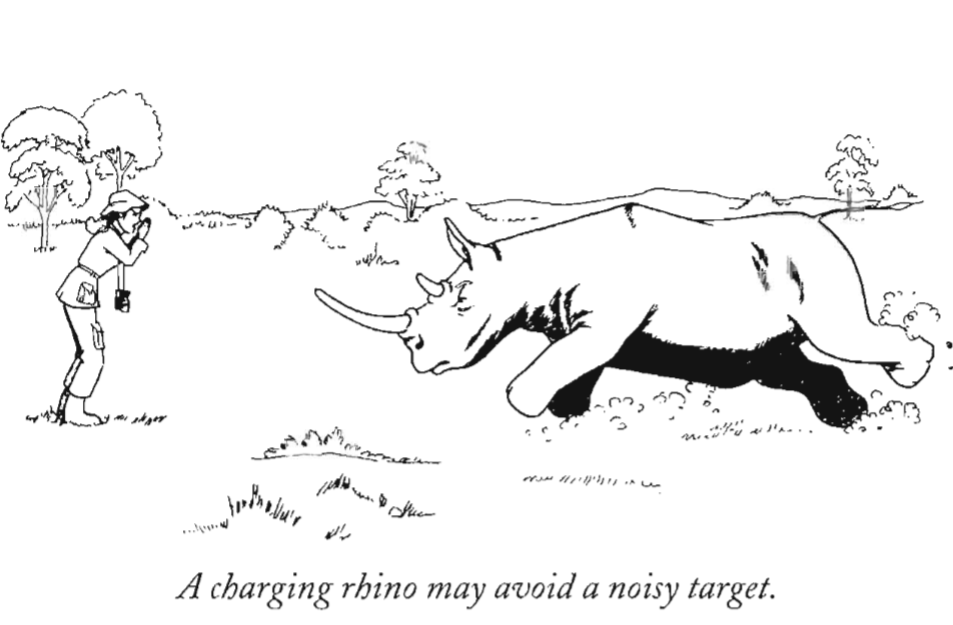 Charging Rhino coloring #12, Download drawings