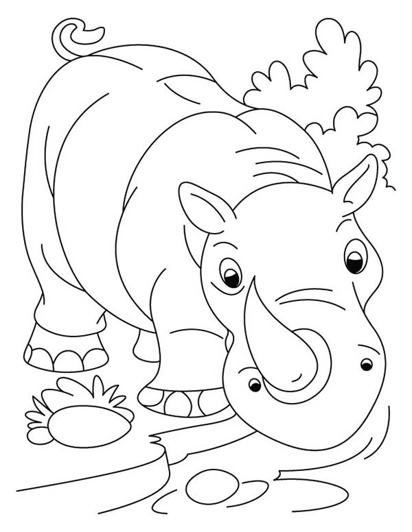 Charging Rhino coloring #8, Download drawings