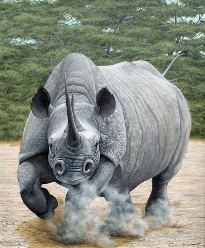 Charging Rhino svg #4, Download drawings