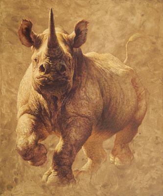 Charging Rhino svg #1, Download drawings