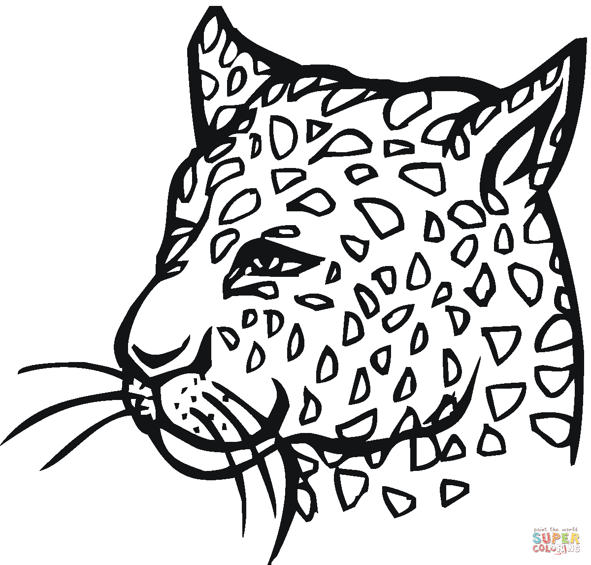 Cheetah coloring #3, Download drawings
