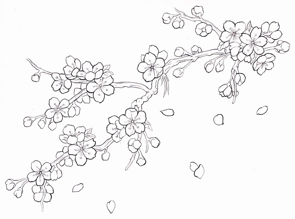 Cherry Blossom coloring #14, Download drawings