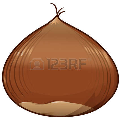 Chestnut clipart #18, Download drawings