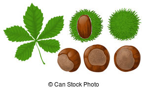 Chestnut clipart #11, Download drawings