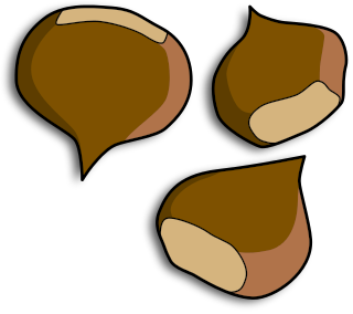 Chestnut clipart #15, Download drawings