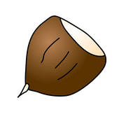 Chestnut clipart #16, Download drawings