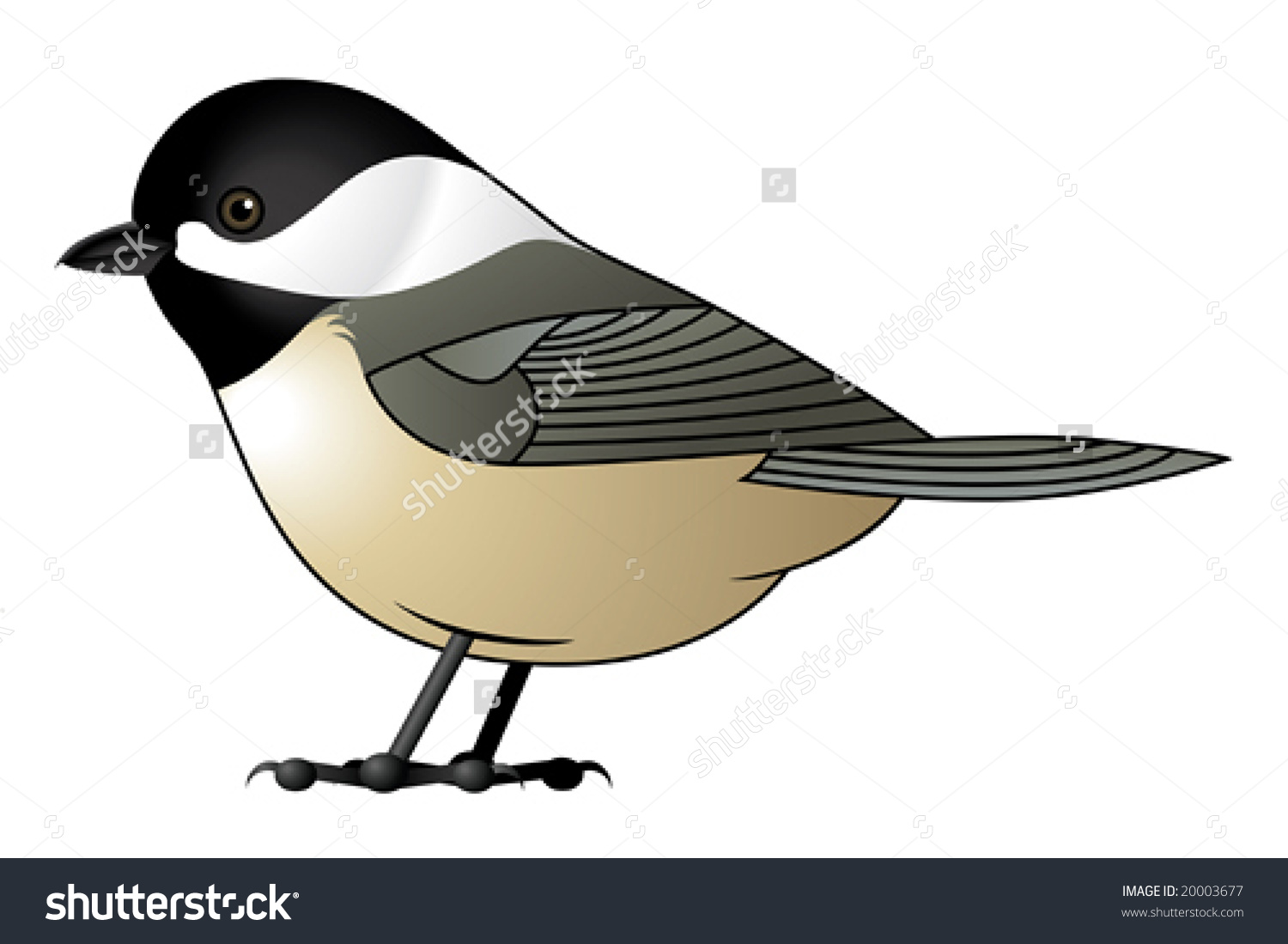 Chickadee clipart #2, Download drawings