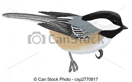 Chickadee clipart #12, Download drawings