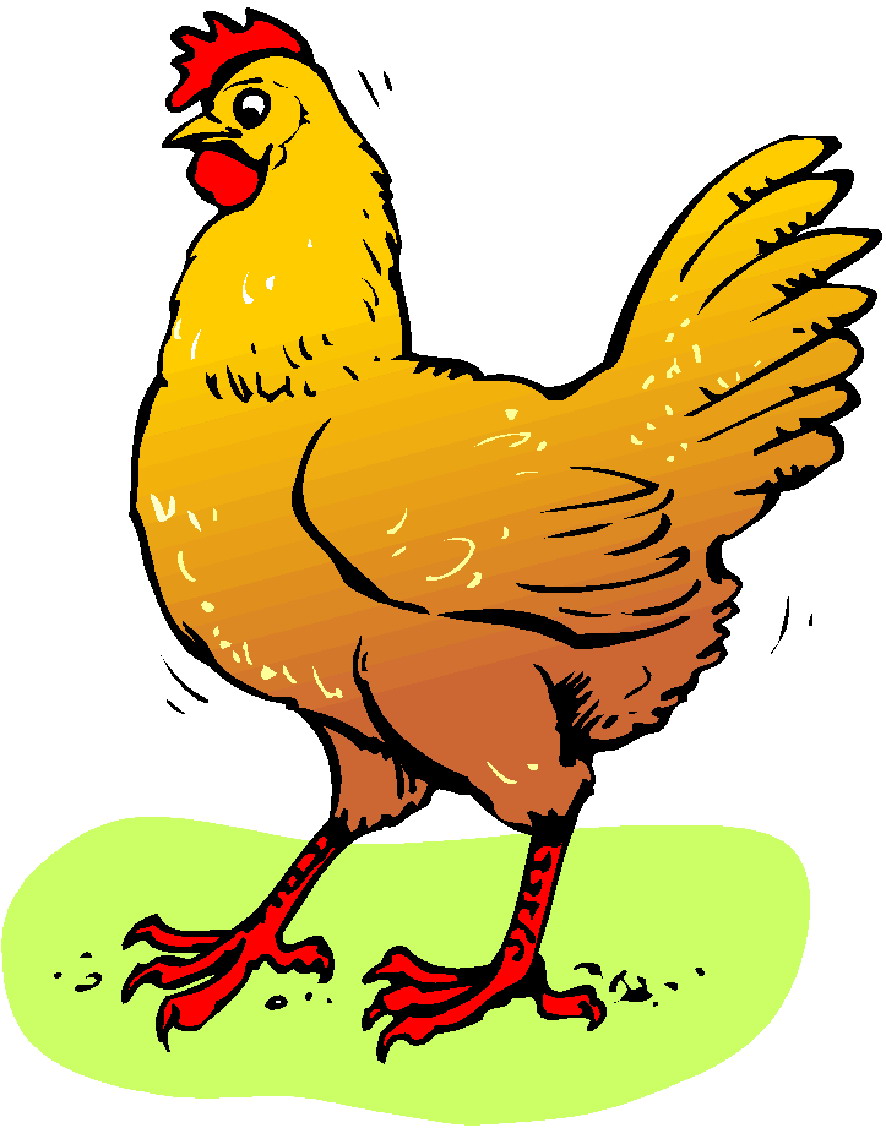 Chicken clipart #1, Download drawings